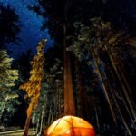 camping in forest during nightime