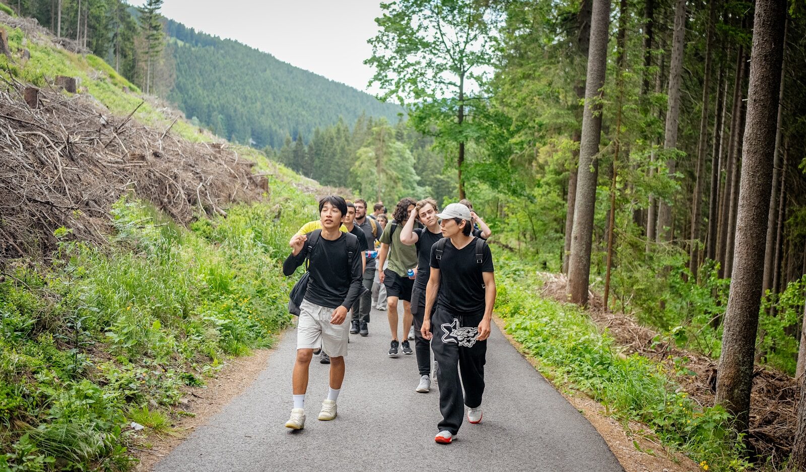 A group of young people walking on a forest path.